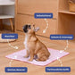 🐶 50 % de réduction 🐱 Tapis rafraîchissant d'été pour animaux de compagnie avec gel rafraîchissant non toxique