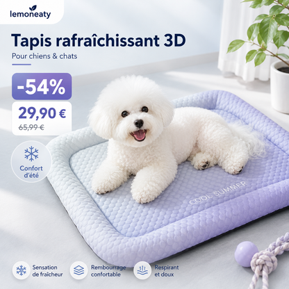 🐾Coussin rafraîchissant 3D pour chiens et chats – Nid doux en perles de gel, matelas à air pour été, tissu respirant, fraîcheur naturelle sans excès💤❄️