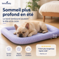 🐾Coussin rafraîchissant 3D pour chiens et chats – Nid doux en perles de gel, matelas à air pour été, tissu respirant, fraîcheur naturelle sans excès💤❄️