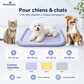 🐾Coussin rafraîchissant 3D pour chiens et chats – Nid doux en perles de gel, matelas à air pour été, tissu respirant, fraîcheur naturelle sans excès💤❄️