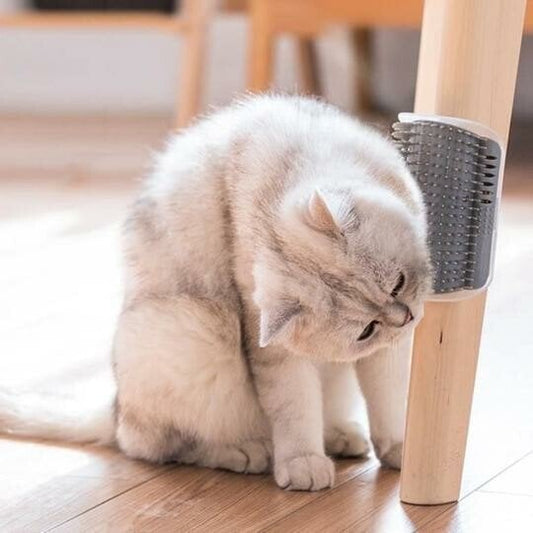 🧹 ACHETEZ 2, OBTENEZ 2 GRATUITS! 🐱 Brosse Murale Auto-Toilettage pour Chat – Collecte Les Poils, Réduit Le Nettoyage & Facile À Installer 🧹