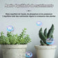 Engrais Organique Universel à Libération Lente en Comprimés pour Jardinage Domestique