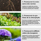 Engrais Organique Universel à Libération Lente en Comprimés pour Jardinage Domestique