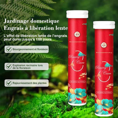 Engrais Organique Universel à Libération Lente en Comprimés pour Jardinage Domestique