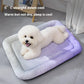 🐾Coussin rafraîchissant 3D pour chiens et chats – Nid doux en perles de gel, matelas à air pour été, tissu respirant, fraîcheur naturelle sans excès💤❄️