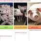 🐷💕Abreuvoir Automatique à Tétine en Acier Inoxydable pour Porcs