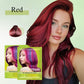 Crème Colorante Non Irritante, Durable et Nourrissante pour Les Cheveux