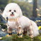 49 % de réduction 🔥 Pantalon anti-poussière pour chien -- ⏳ Jusqu'à épuisement des stocks