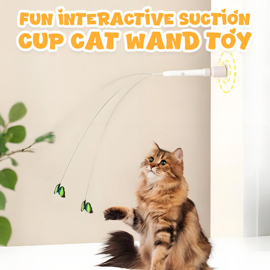 Jouet interactif amusant pour chat avec ventouse😻