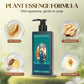 🌿 ACHETEZ 2, OFFERT 1 ! ✨ Colorant Capillaire aux Extraits Végétaux pour Cheveux Blancs - Formule Naturelle aux Botaniques Nourrissants pour une Couleur Éclatante sans Dommage 💆‍♀️💫