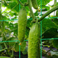 ⏳ PROMO FLASH : 50% DE RÉDUCTION ! Treillis de Jardin en A en Acier – Revêtement Anti-Rouille & Assemblage Sans Outils for Plantes Grimpantes Prospères 🍇🥒✨