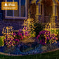 💐50% DE RÉDUCTION ! Lumières Décoratives de Jardin – Faciles à Installer 🌼🪴【Offre Limitée】