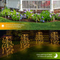 💐50% DE RÉDUCTION ! Lumières Décoratives de Jardin – Faciles à Installer 🌼🪴【Offre Limitée】