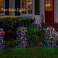 💐50% DE RÉDUCTION ! Lumières Décoratives de Jardin – Faciles à Installer 🌼🪴【Offre Limitée】