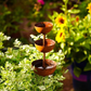 🐦 Redonnez vie à votre jardin ! Abreuvoir à oiseaux paisible avec récupérateur d’eau de pluie pour accueillir la faune sauvage de votre jardin.🌿