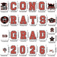 🎓🔥 10 000+ Ventes ! Grands Aimants de Décoration pour Fête de Remise de Diplôme ✨