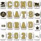 🎓🔥 10 000+ Ventes ! Grands Aimants de Décoration pour Fête de Remise de Diplôme ✨