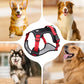 💐50% DE RÉDUCTION ! Harnais anti-traction avec laisse LED – Sécurité maximale pour vos promenades nocturnes 🐕✨【Offre Limitée】