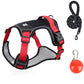 💐50% DE RÉDUCTION ! Harnais anti-traction avec laisse LED – Sécurité maximale pour vos promenades nocturnes 🐕✨【Offre Limitée】