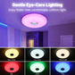 ⚡Plafonnier musical LED intelligent avec haut-parleur Bluetooth
