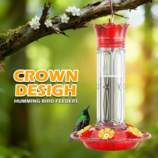 🐦Mangeoire suspendue pour colibris avec barrière anti-fourmis
