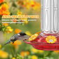 🐦Mangeoire suspendue pour colibris avec barrière anti-fourmis
