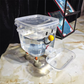📢📢50 % DE RÉDUCTION !! ⏰Distributeur d'eau pour animaux de compagnie à grande capacité