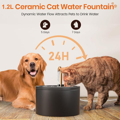 🐾 50 % DE RÉDUCTION POUR UNE DURÉE LIMITÉE ! ✨ Fontaine à eau en céramique pour animaux avec robinet