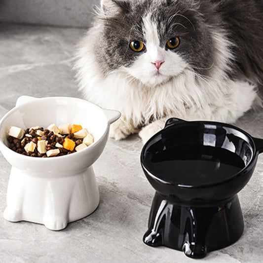 📢📢50 % DE RÉDUCTION !! ⏰ Gamelle surélevée ergonomique en plastique pour chat