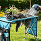 🐱2-in-1 Foldable Pet Grooming Bed