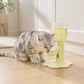 🐾 PROMO 50% DE RÉDUCTION ! 💧 Fontaine à Eau pour Chat à Hauteur Réglable – Ergonomique, Anti‑éclaboussure, Pratique ✨