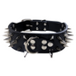 🐕Collier pour Chien en Cuir PU à Pointes