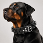 🐕Collier pour Chien en Cuir PU à Pointes