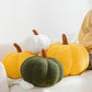 🎃 Offre à durée limitée : 50 % de réduction sur les coussins décoratifs en forme de citrouille