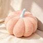🎃 Offre à durée limitée : 50 % de réduction sur les coussins décoratifs en forme de citrouille