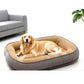 📢📢50 % DE RÉDUCTION !! ⏰Lit Confortable pour Animaux – Mousse de Soutien & Double Texture Respirante pour un Repos Douillet.