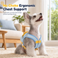 🐕 PROMO FLASH : 50 % DE RÉDUCTION ! Harnais gilet anti-traction pour chien avec sac à dos intégré, maille respirante et bandes réfléchissantes pour des balades mains libres et sécurisées ✨