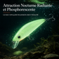 📢📢50 % DE RÉDUCTION !! ⏰ Leurre dur lumineux Minnow – Leurre de pêche nocturne 7cm 🌙✨